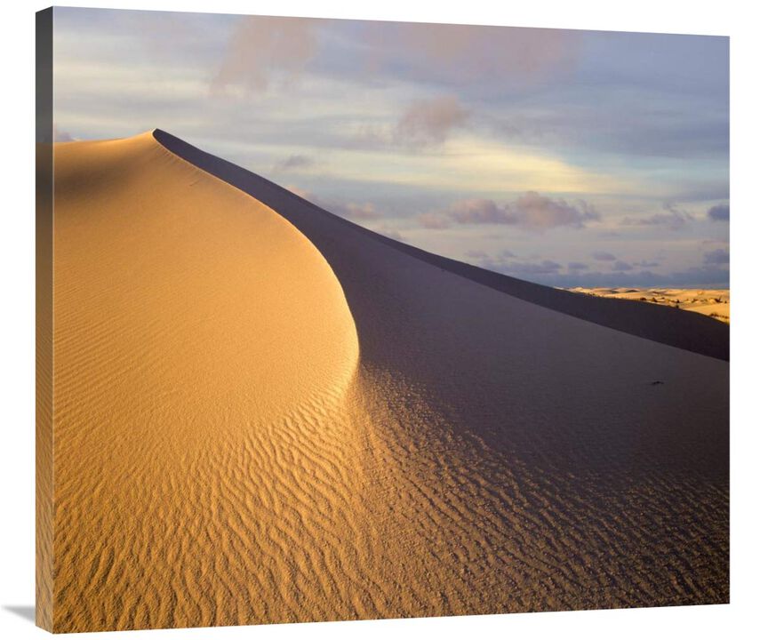 Sand dune, White Sands National Monument, New Mexico-Canvas Art-36x32.04