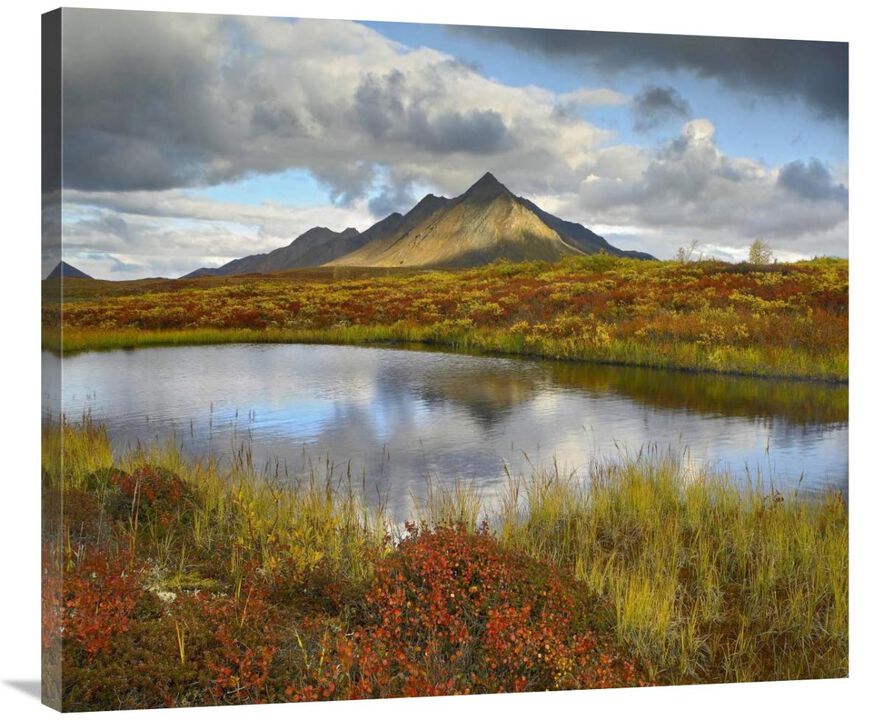 Pond and Ogilvie Mountains, Tombstone Territorial Park, Yukon, Canada-Canvas Art-36x30.96