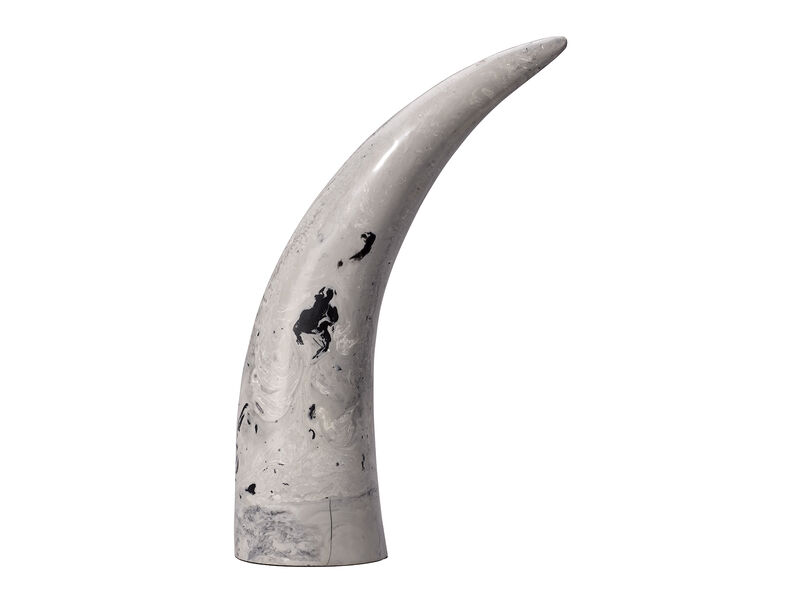 Variegated Horn