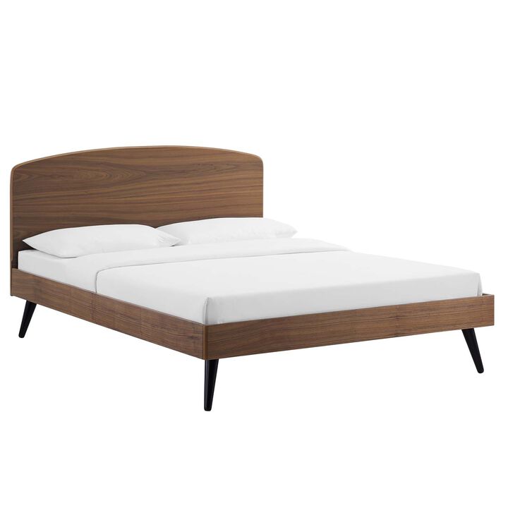 Modway - Bronwen Queen Wood Platform Bed Walnut