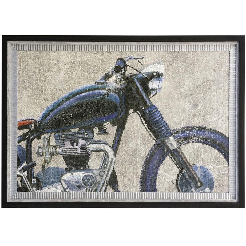 Born To Be Wild Framed Print