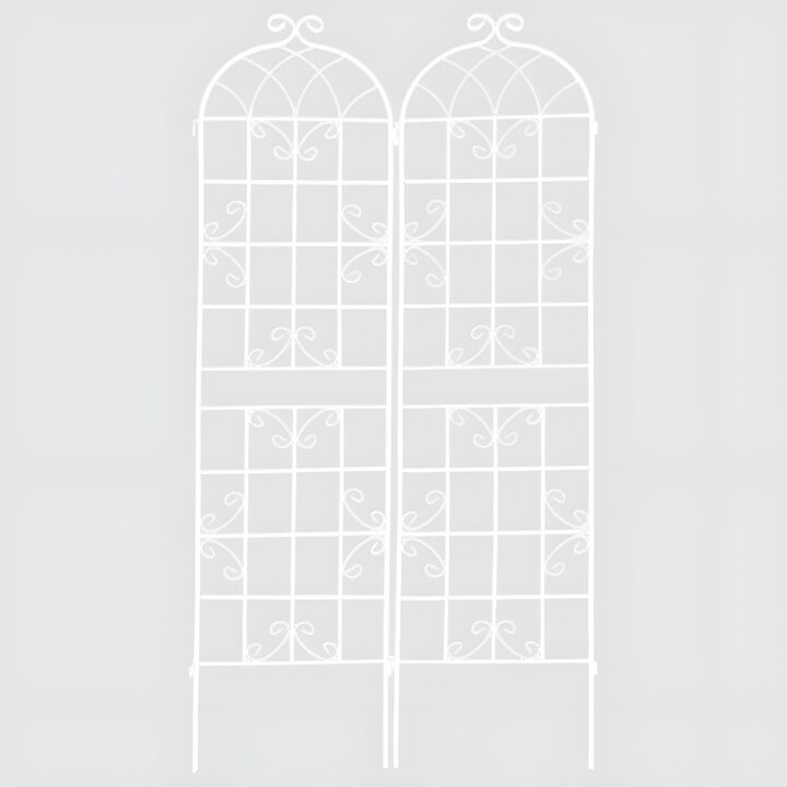 2-Pack Outdoor Metal Garden Trellis, Tall Rustproof Plant Support