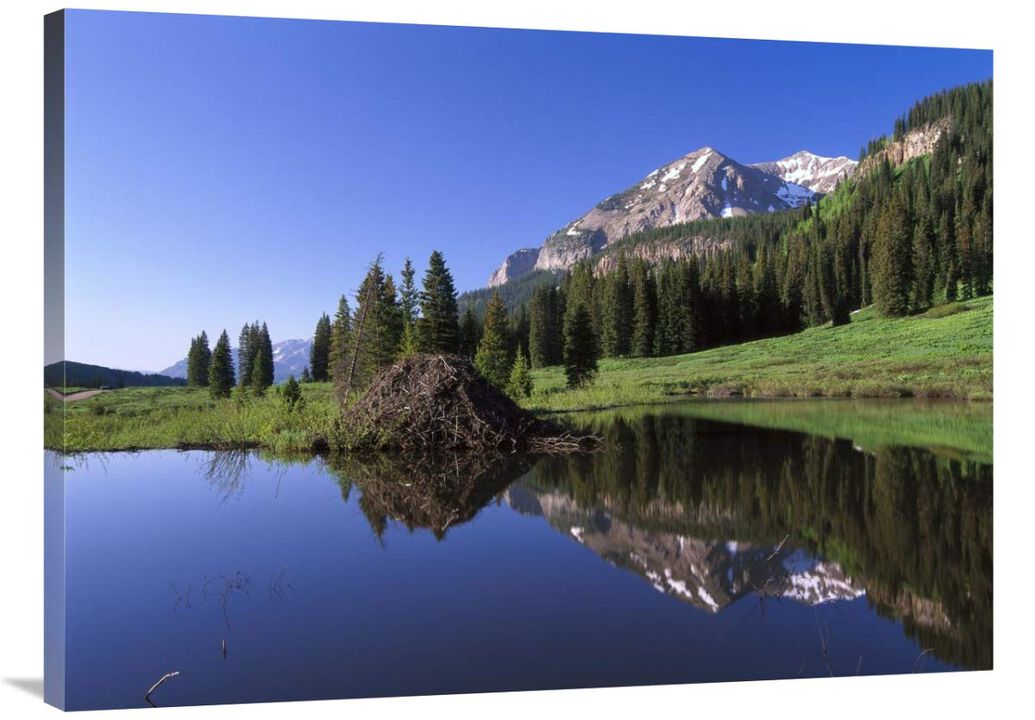 Gothic Mountain and Beaver Lodge, near Crested Butte, Colorado-Canvas Art-40x30