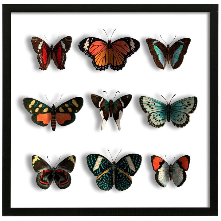 Floating Butterflies