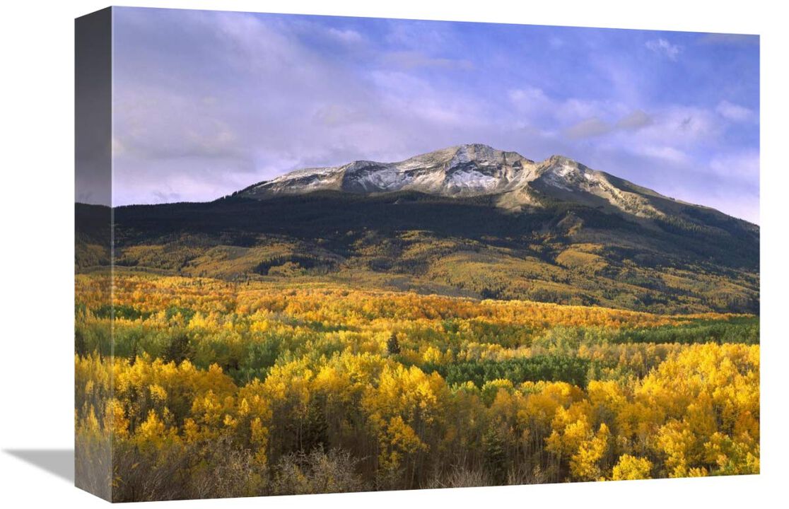 East Beckwith Mountain and trees in fall color, Gunnison National Forest, Colorado-Canvas Art-16x12