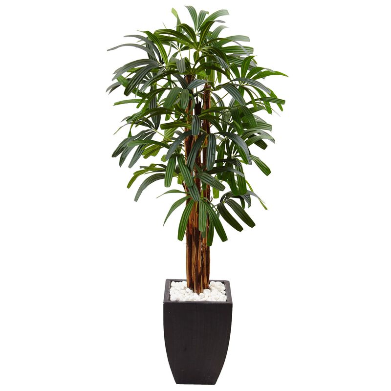 Hivvago 5.5 Feet Raphis Plam Tree in Black Planter