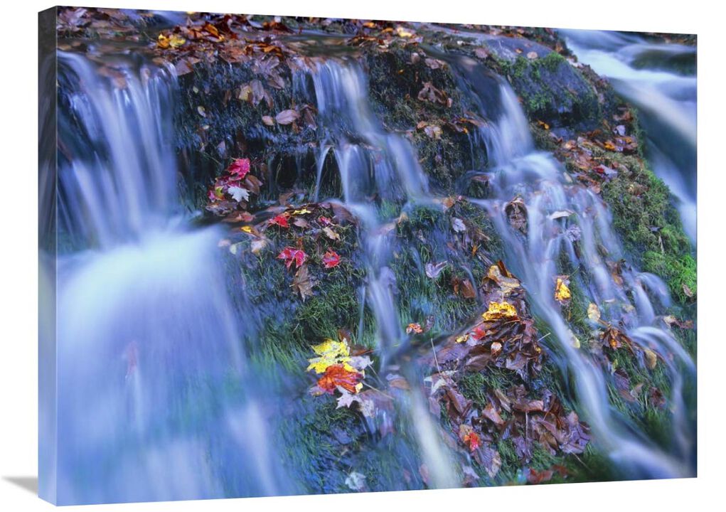Laurel Creek cascades, Great Smoky Mountains National Park, Tennessee-Canvas Art-32x24