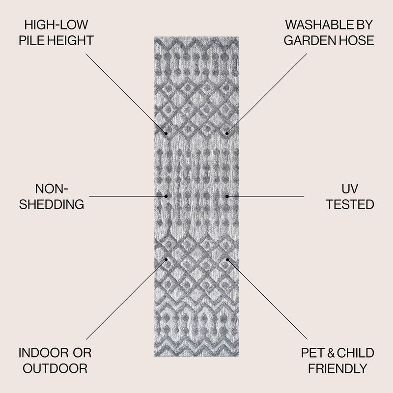 Peralta Moroccan Diamond Indoor/Outdoor Area Rug