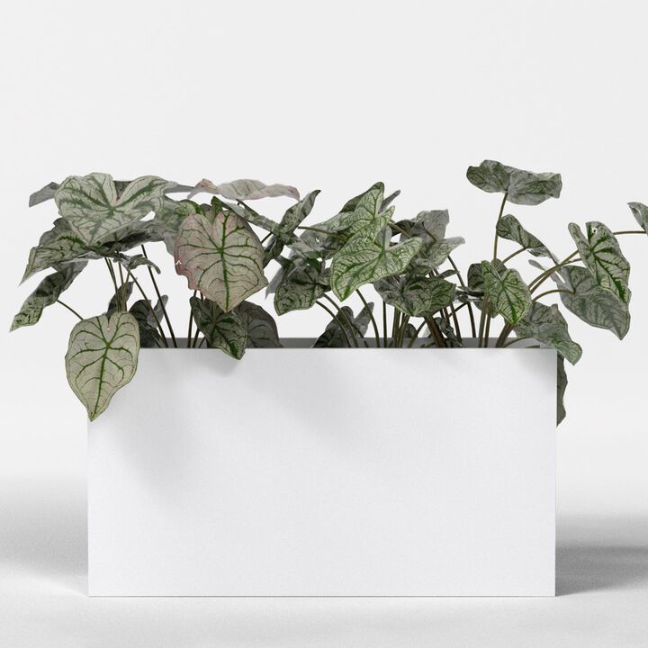 Greenline Fiberglass Alice Extra Large Indoor/Outdoor Rectangle Planter - 60 in x 16 in x 32 in - Matte White