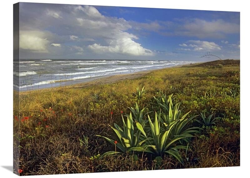 Apollo Beach at Canaveral National Seashore, Florida-Canvas Art-32x24