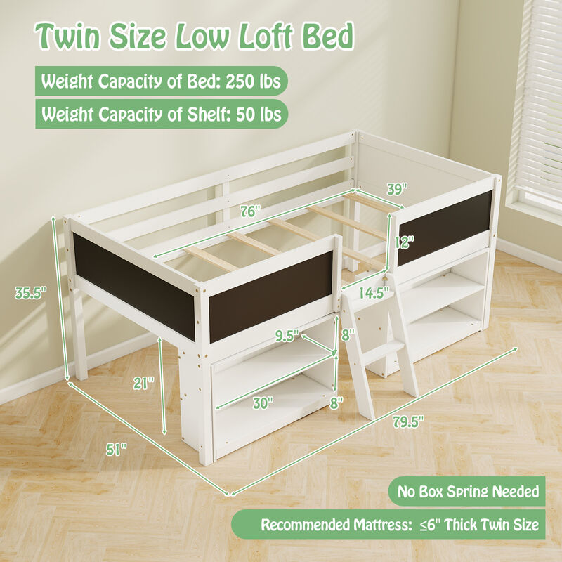 Kid Low Loft Bed with Chalkboard Ramp Ladder and Bookcases