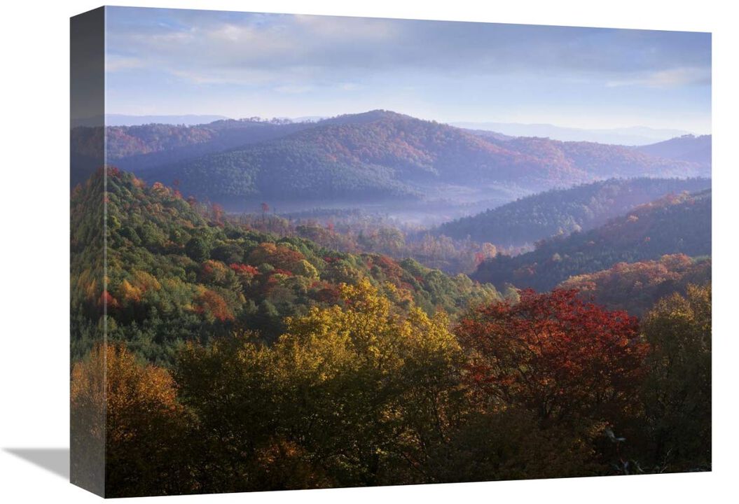 Autumn deciduous forest from the Blue Ridge Parkway, North Carolina-Canvas Art-16x12