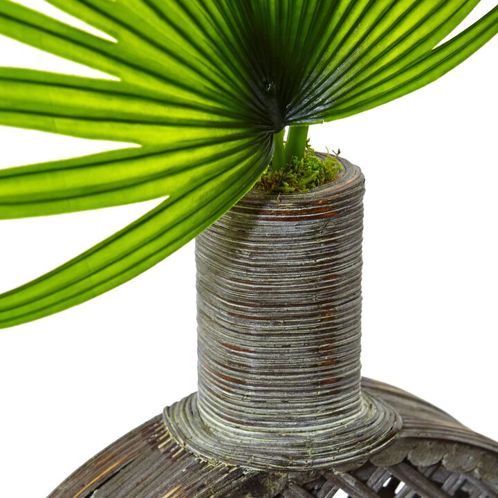 Hivvago Fan Palm in Open Weave Vase