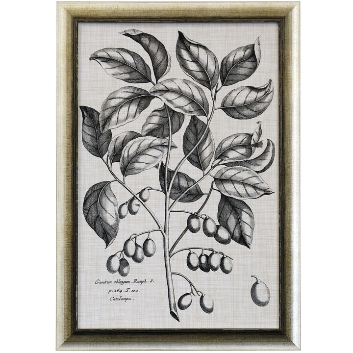 Black & Oatmeal Botanical II