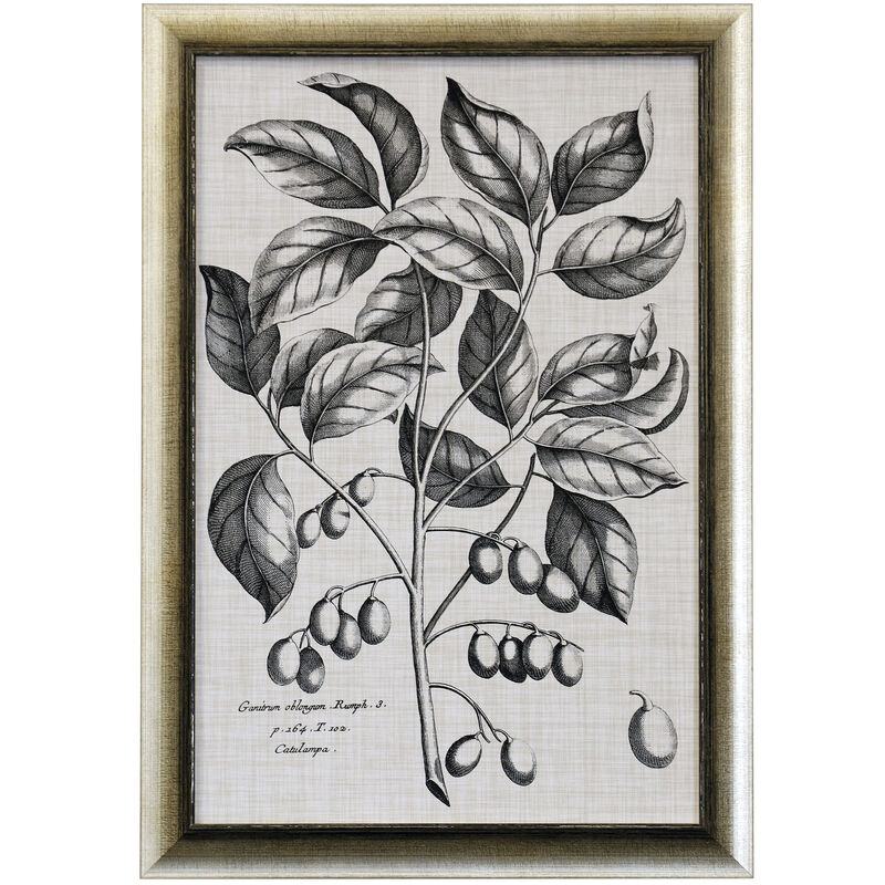 Black & Oatmeal Botanical II