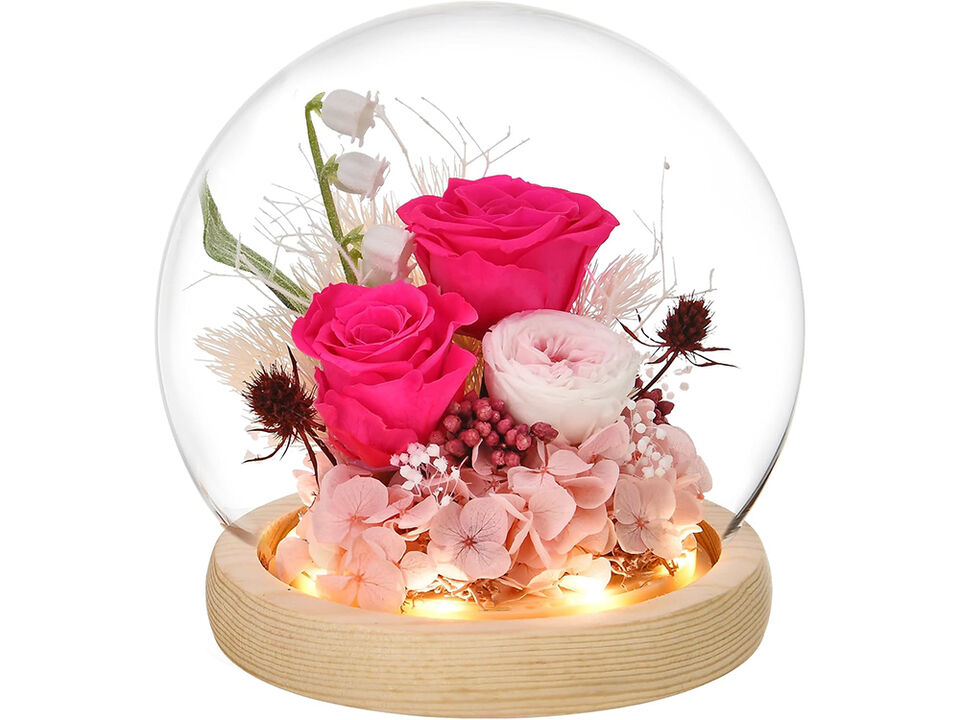 Red Rose in Glass Dome with LED Light,Gifts for Women