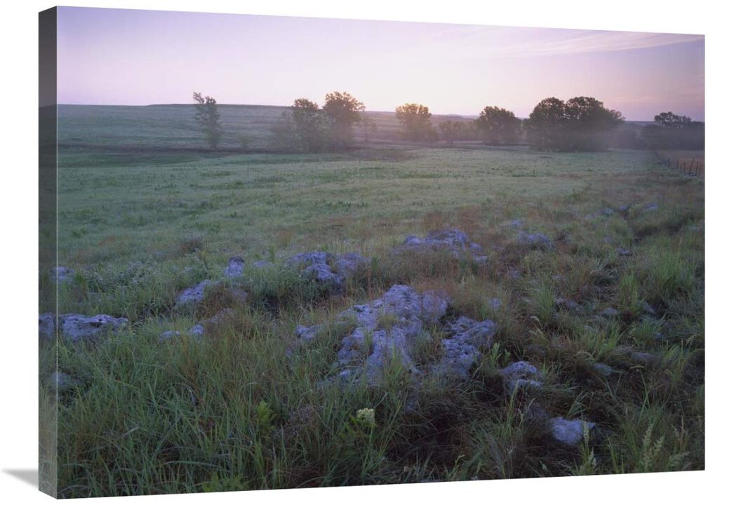 Misty morning over prairie, Tallgrass Prairie National Preserve, Kansas-Canvas Art-32x24