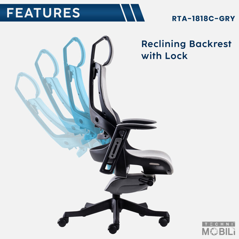 Lux Ergonomic Executive Chair, Grey