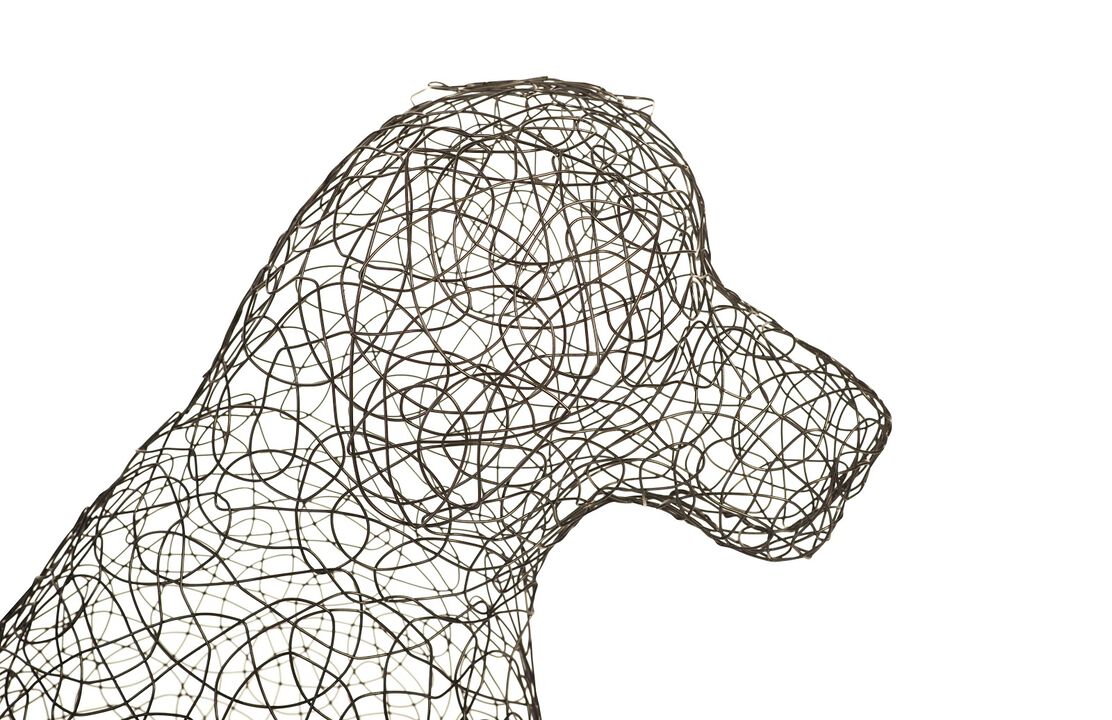 Crazy Wire Retriever