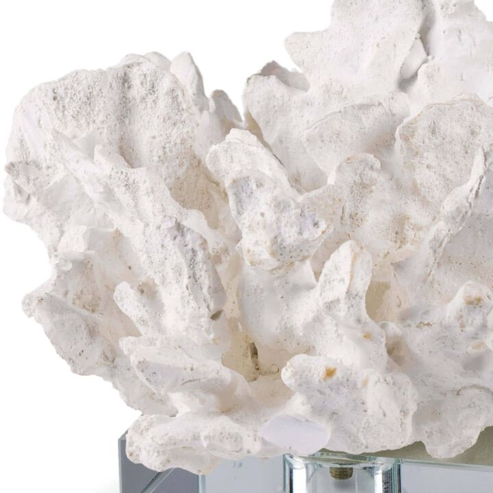 Flower Coral On Crystal Base