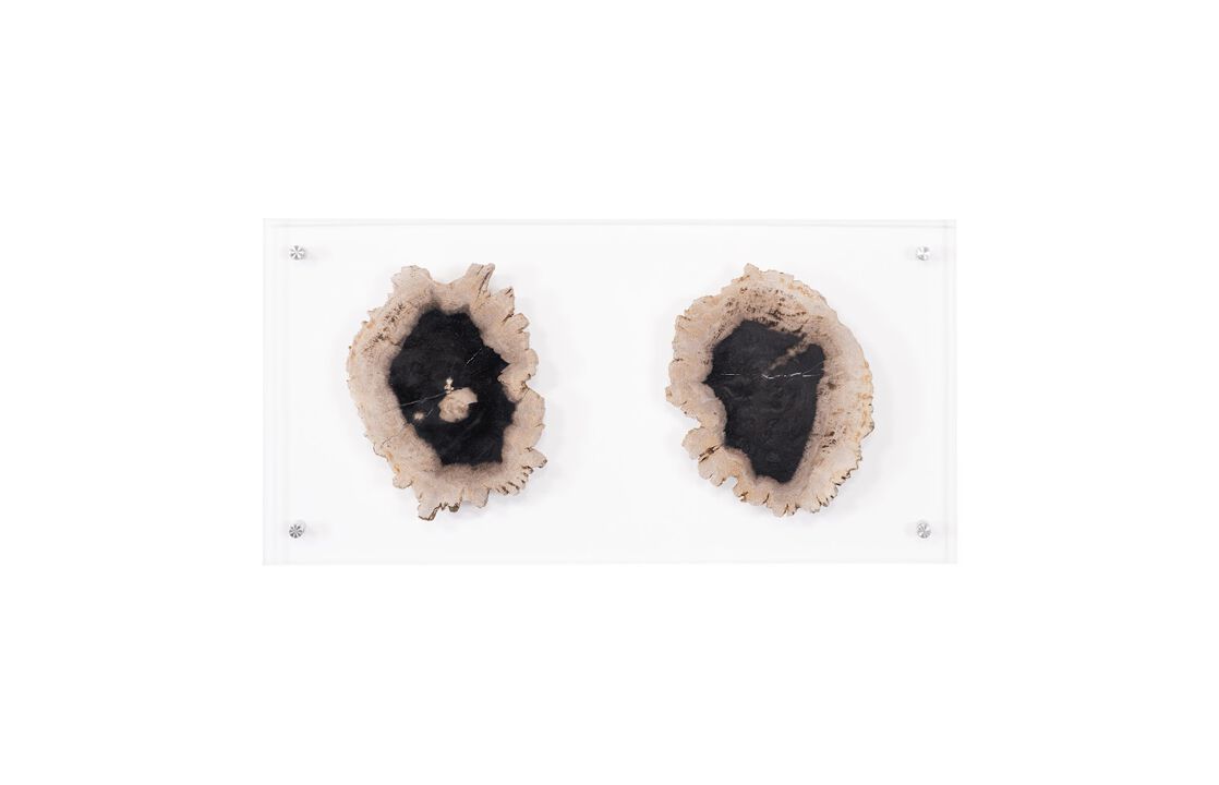Floating Petrified Double Slice Wall Art