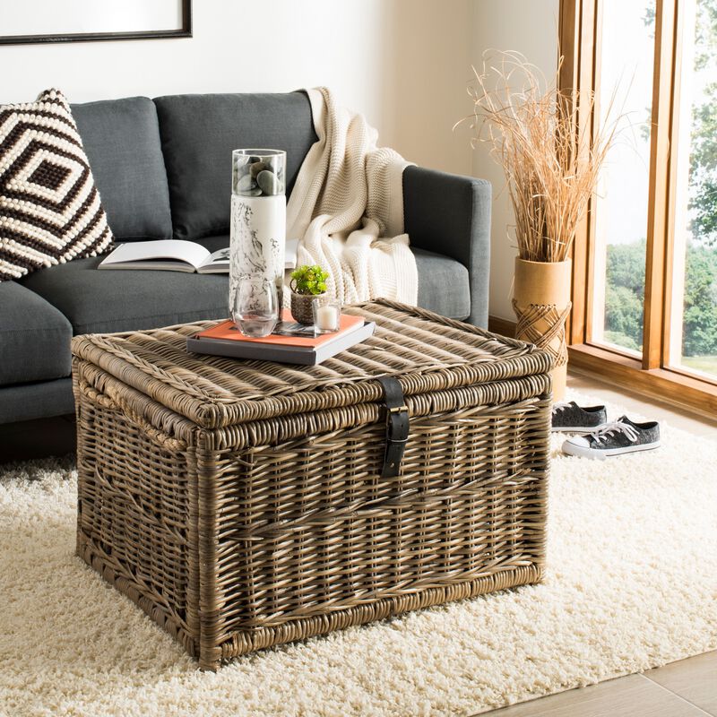 Caden Wicker Storage Trunk