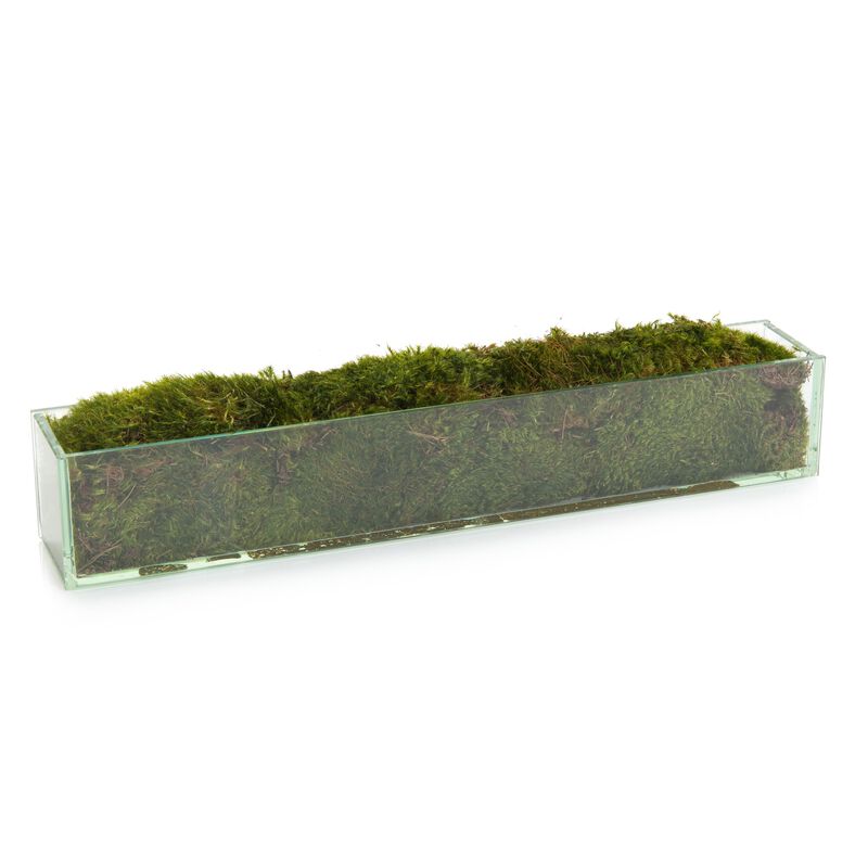 Moss Mound