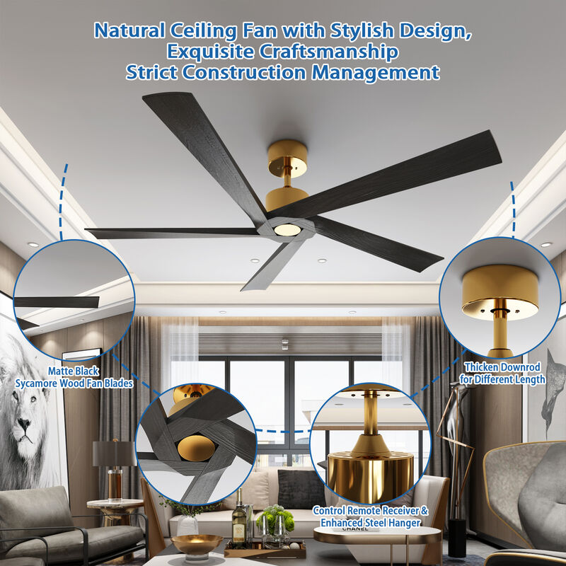 FUFU&GAGA 64-Inch Ceiling Fan 32.8-in with Black Blades Indoor/Outdoor Ceiling Fan Remote (5-Blade),Black