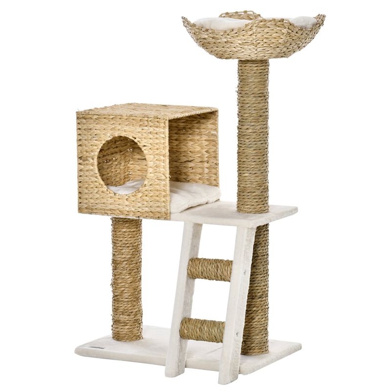 Natural Cat Playground: Modern Tree with Condo & Scratching Posts