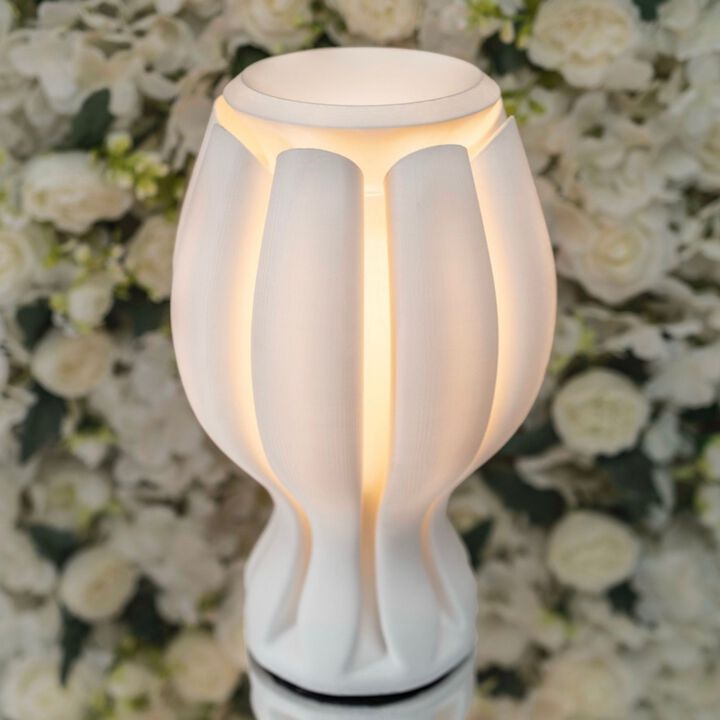 Flower Tropical Coastal Plant-Based PLA 3D Printed Dimmable LED Table Lamp