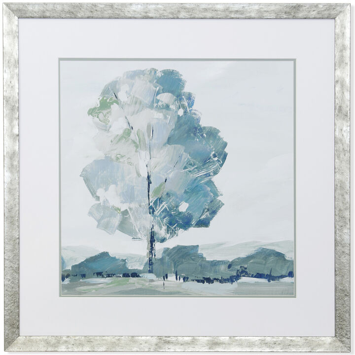 Framed Print Under Glass