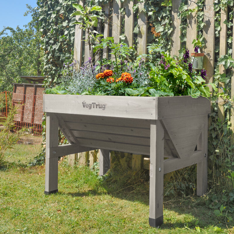 Small Classic Raised Planter  VegTrug - Gray Wash