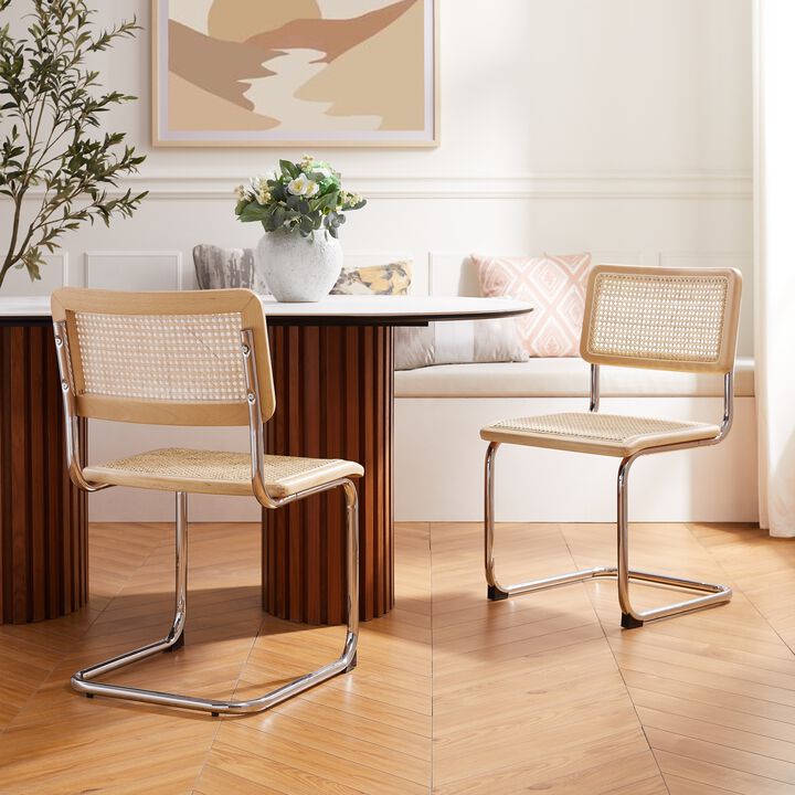 Loft Lyfe Ericka  Dining Chair (Set of 2)