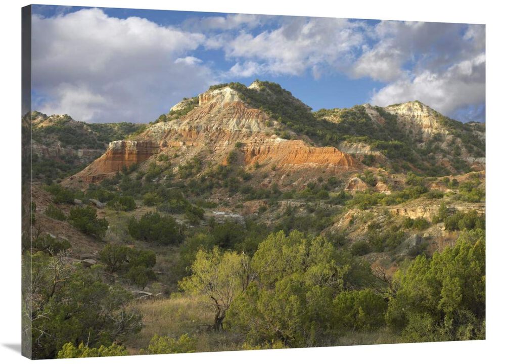 Sandstone mountains, Palo Duro Canyon State Park, Texas-Canvas Art-40x30
