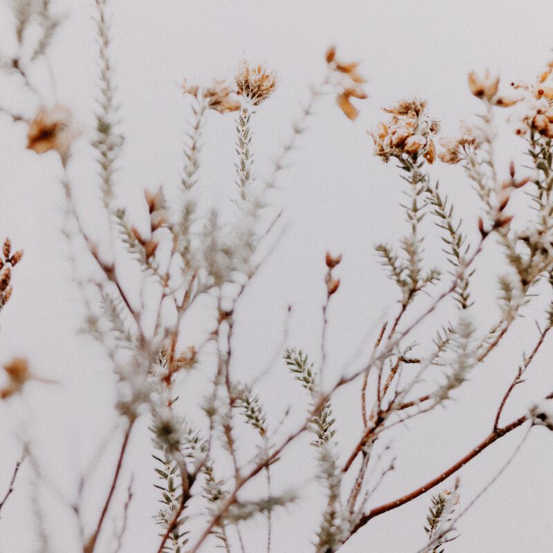 In The Details I