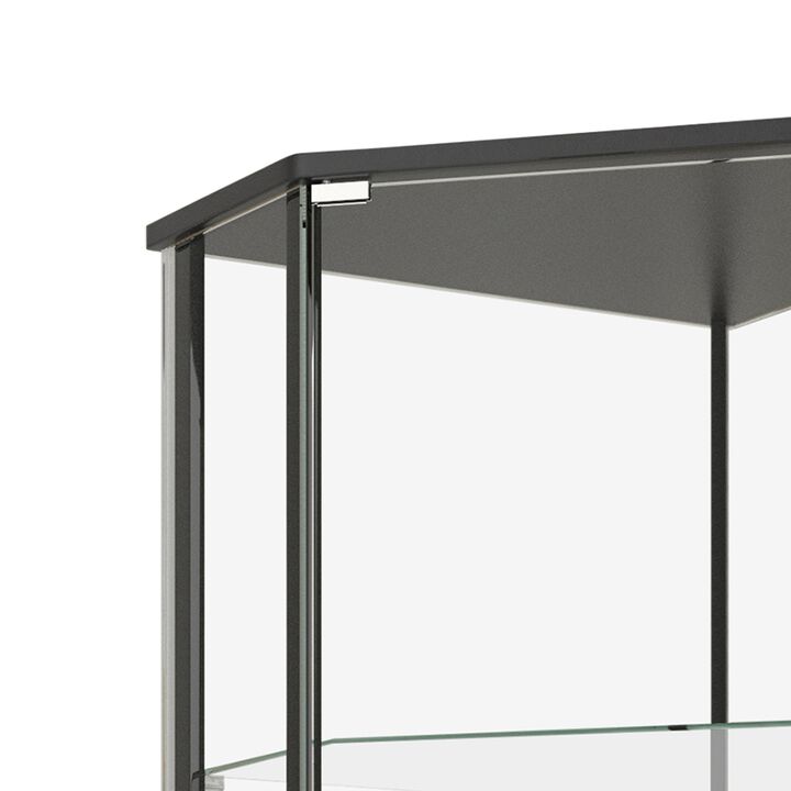 Metal Curio Cabinet with 1 Door and 3 Glass Shelves, Black-Benzara