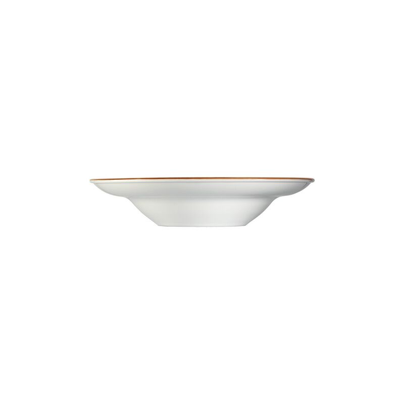 Space dia.11.75" h:2.5" 19 oz. Round Grey Porcelain Bowl (Set of 2)