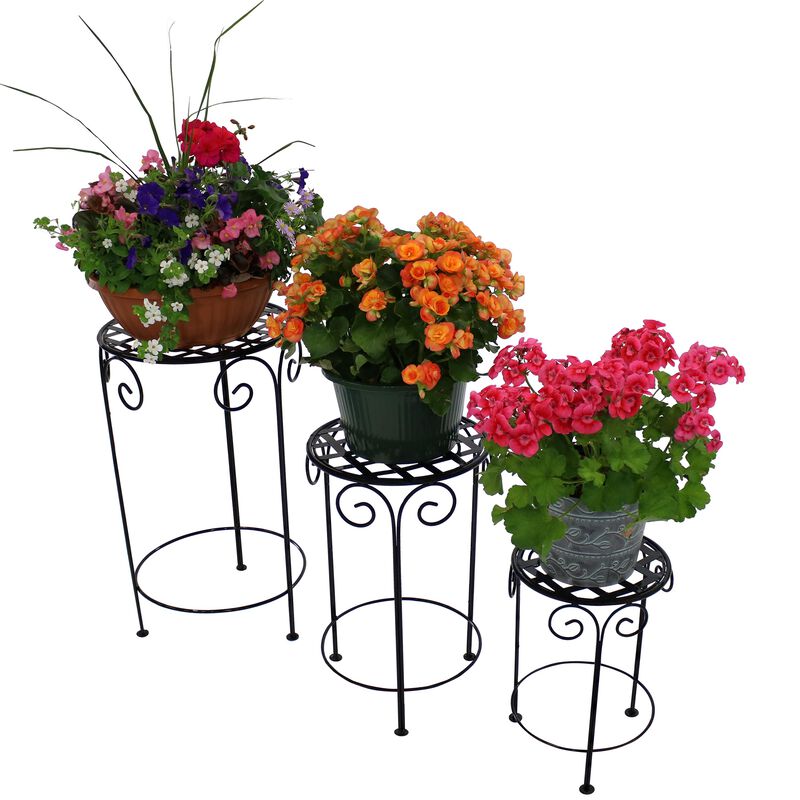 Sunnydaze Black Iron 14 in, 19 in, 24 in Plant Stand with Scroll Design