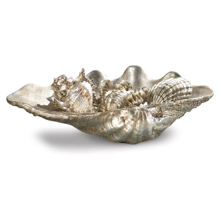 Clam Shell Medium with Small Shells