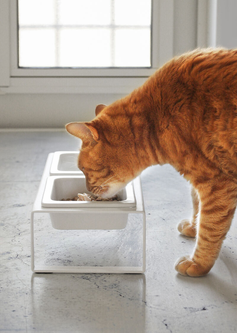Pet Food Bowl - Two Styles